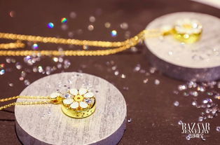 吉克雋逸佩戴 totwoo智愛天使吊墜 獻(xiàn)唱芭莎珠寶 未來首飾奇幻夜